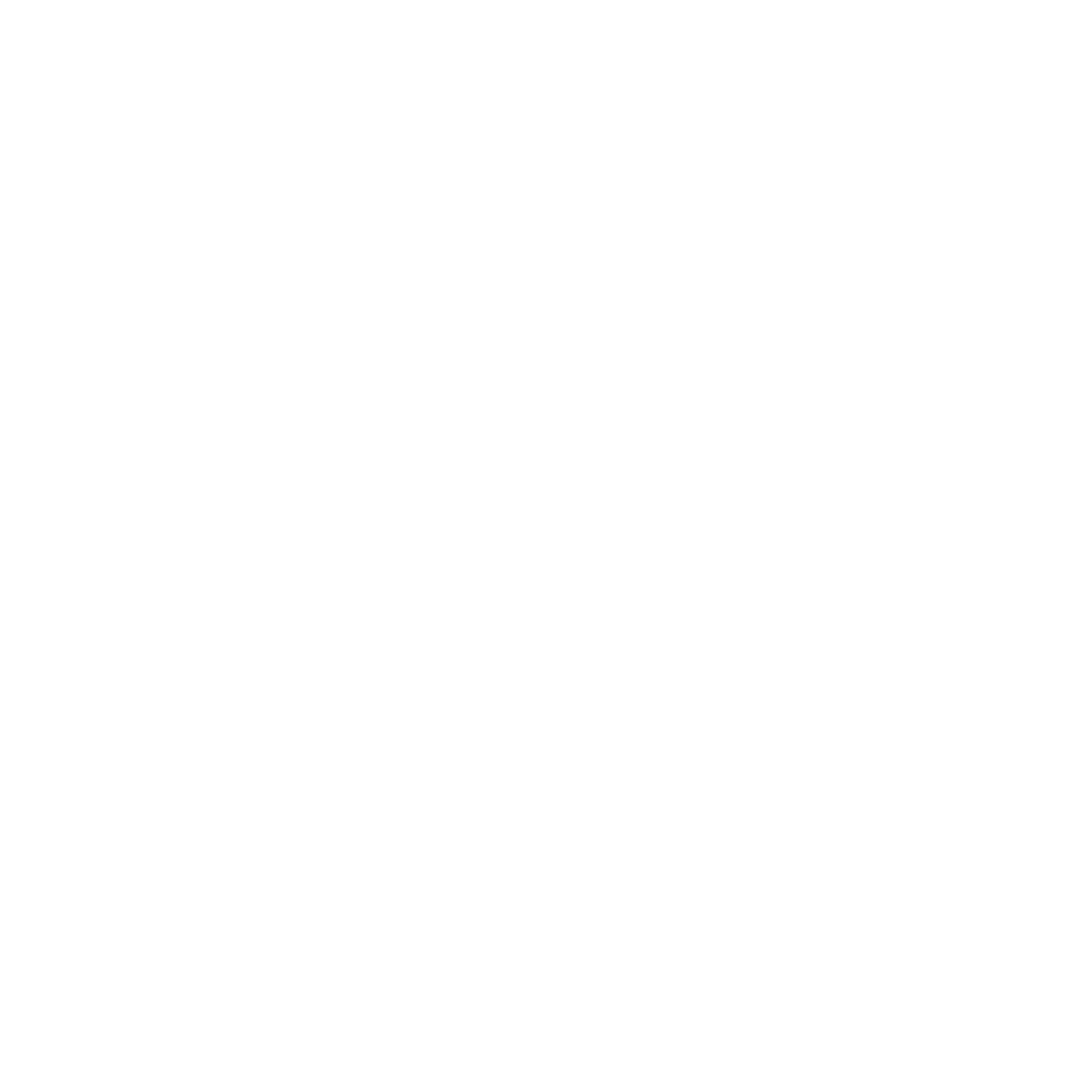 BridviaConnect